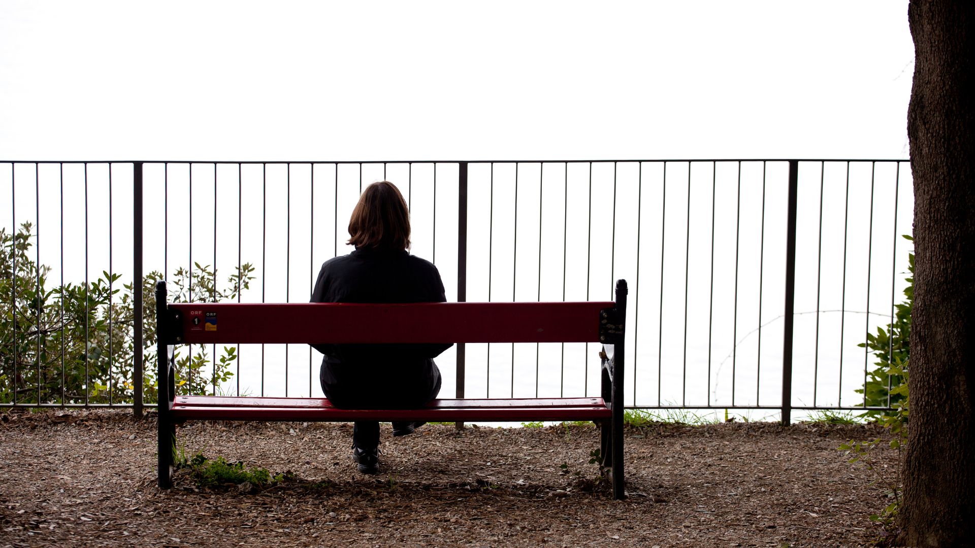 Loneliness